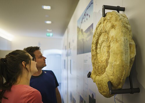 Ausstellung im Informationszentrum Naturpark Altmühltal