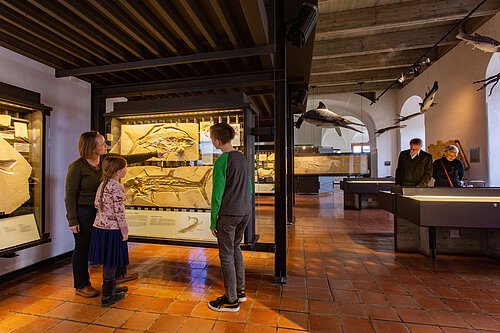 Zwei Frauen und ein Mädchen schauen sich interessiert versteinerte Fische im Juramuseum an. Rechts sind zwei Besucher die sich über eine Tischvitrine beugen, um besser die Schätze zu begutachten.
