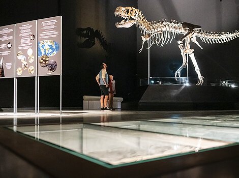 Personen betrachten ein Dinosaurierskelett in einem Museum neben Informationstafeln.