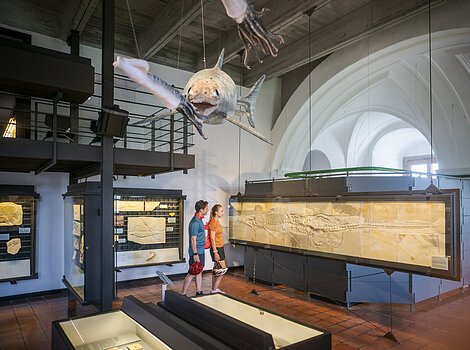 Zwei Personen betrachten Fossilien in einem Museum mit einem Modell eines prähistorischen Fisches an der Decke.