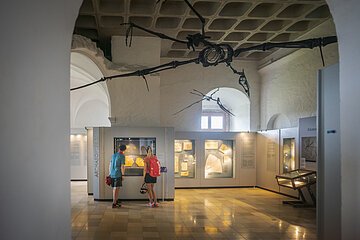 Zwei Personen betrachten Fossilien in einem Museum, über ihnen hängt ein großes Flugsaurierskelett.