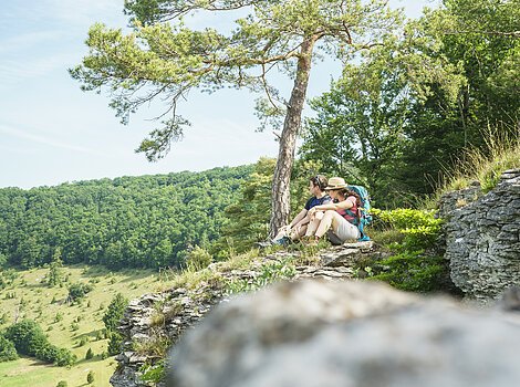 Altmühltal-Panoramaweg (Zimmern) Zwei Personen sitzen auf einem Felsen unter einem Baum und blicken in eine bewaldete Landschaft.