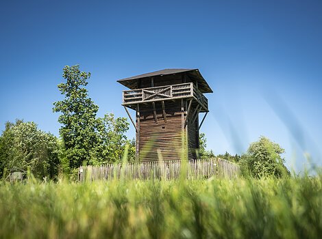 Holzturm mit Aussichtsplattform, umgeben von Bäumen und Wiese, unter klarem blauem Himmel.