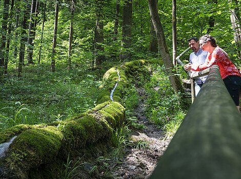 Zwei Personen lehnen an einem Geländer im Wald neben einem moosbedeckten Baumstamm mit Wasserfluss.