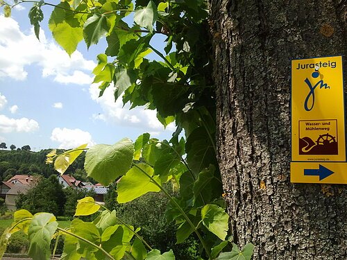 Kombibeschilderung am Jurasteig