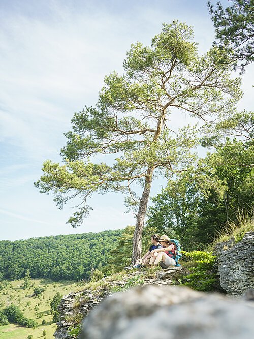 Altmühltal-Panoramaweg (Zimmern) Zwei Personen sitzen auf einem Felsen unter einem Baum und blicken in eine bewaldete Landschaft.