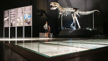 Personen betrachten ein Dinosaurierskelett in einem Museum neben Informationstafeln.