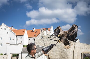 Mann mit Handschuh hält einen Adler, Gebäude im Hintergrund.