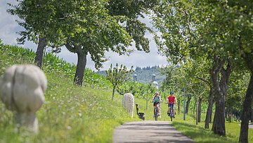Ein Pärchen radelt durch eine Allee. Am Wegrand stehen Steinfiguren und im Hintergrund sind die Kirchtürme von St. Emmeran in Wemding zu sehen.