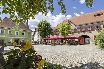 Pflanzen im Vordergrund, gepflasterter Platz mit Bäumen und Sitzbereich vor historischen Gebäuden bei Sonnenschein.