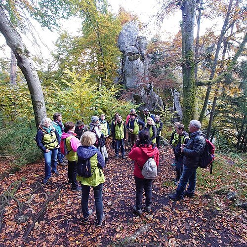 Umgeben von Bäumen steht eine Gruppe von mehr als 10 Personen und lauscht angespannt der Erzählung des Naturparkführers. Mittig ragt ein Felsen zwischen den Baumstämmen empor.