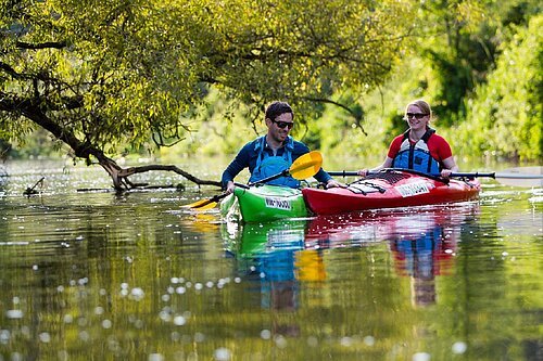 Eine Mann im grünen Kanu und eine Frau im roten paddeln auf der Altmühl flussabwärts. Das Ufer ist satt grün und ein Ast hängt in die Altmühl herein, direkt hinter den zwei Paddlern.
